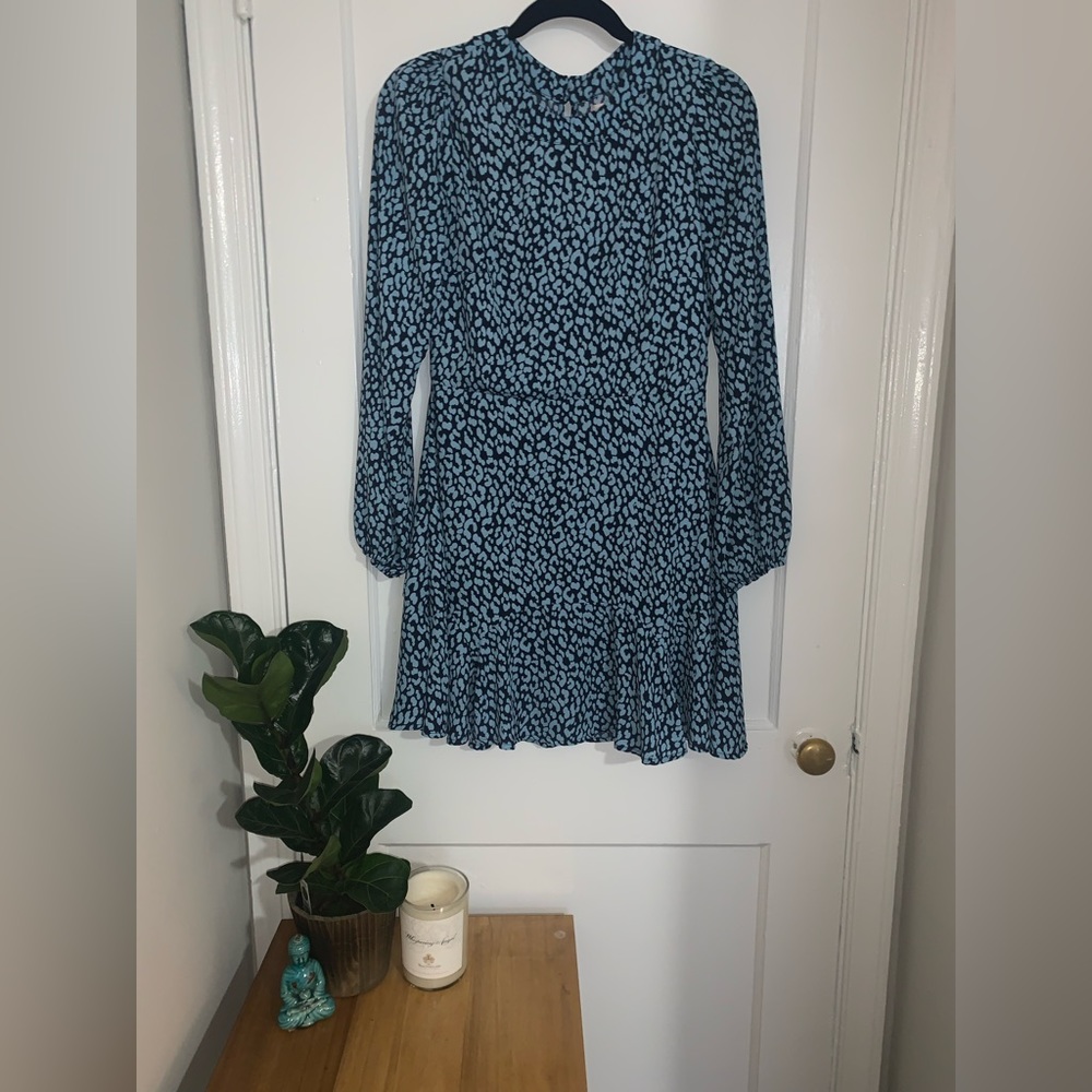 Francesca’s Mini Dress
